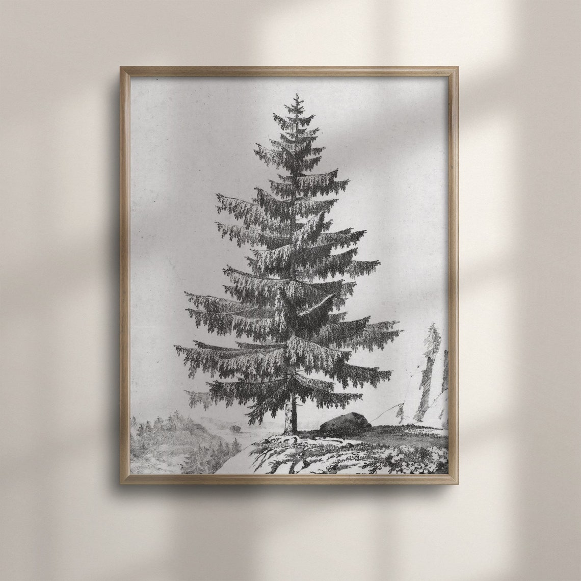 Lone Spruce Tree Charcoal Sketch on a Rocky Outcrop Vintage Art Poster
