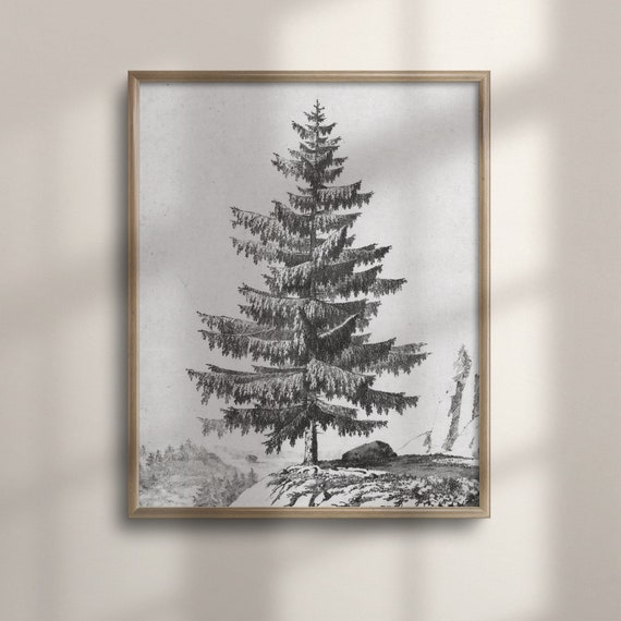 Rustic Cabin Wall Decor Vintage Pine Tree Sketch Pencil Drawing Wall Art Nature Inspired Poster Unique Tree Artwork Forest C16 818