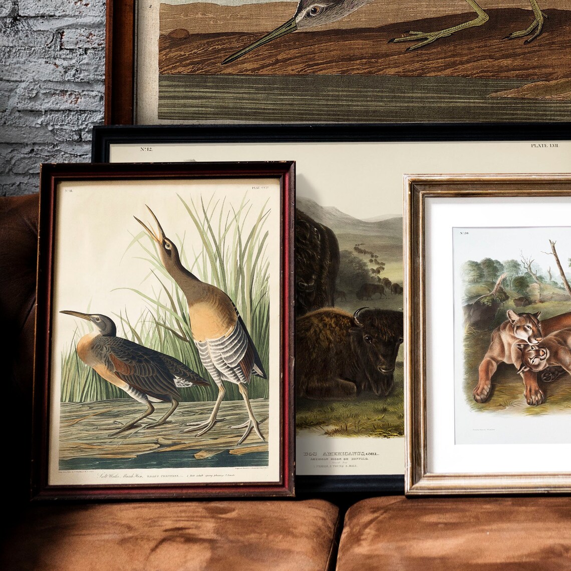 Marsh Birds Antique Bird Painting Vintage Art Print - Image 2