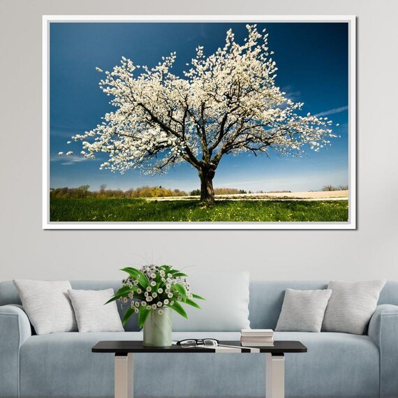 White Tree Spring Wall Art Nature Decor Outdoor Scenery Flowering Landscape Beautiful Spring Home Decor By Nichecanvas