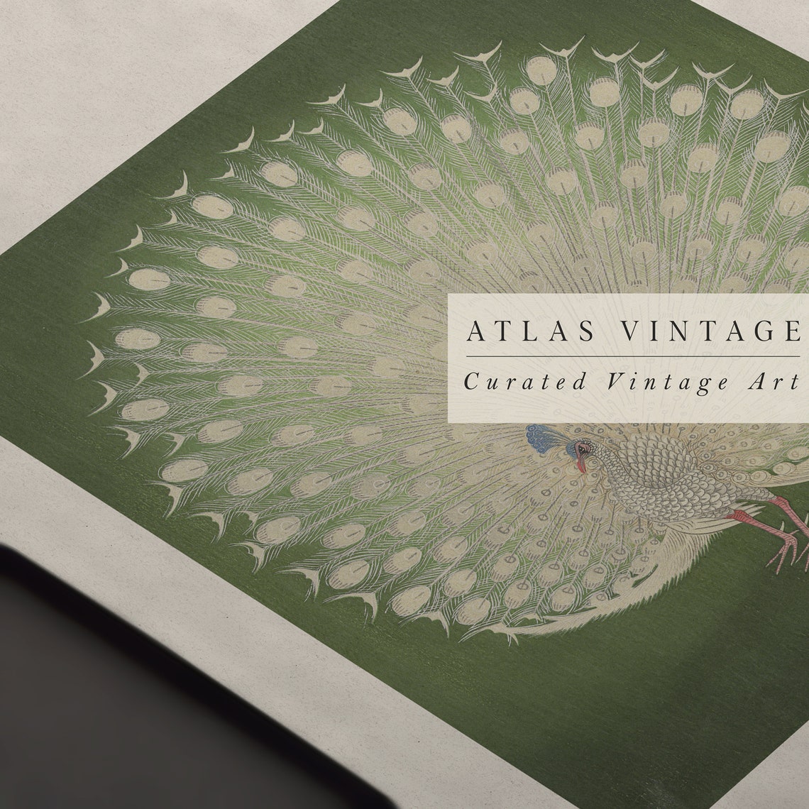 White Peacock with Fanned Tail on Green Japanese Style Poster - Image 4