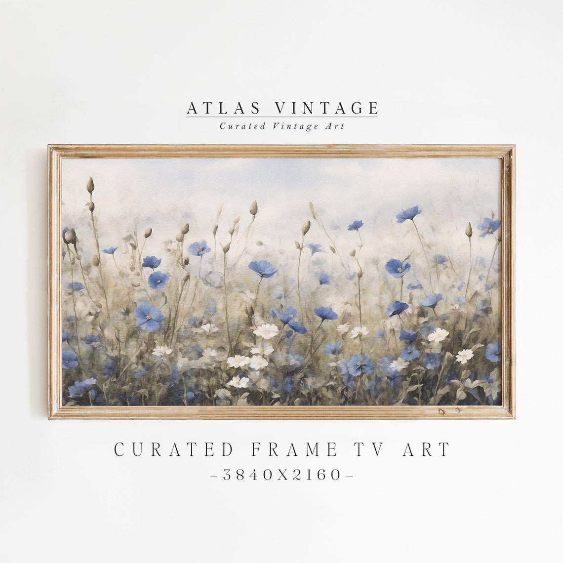 Blue Wildflower Field Daisies Wide Meadow Landscape Art Poster