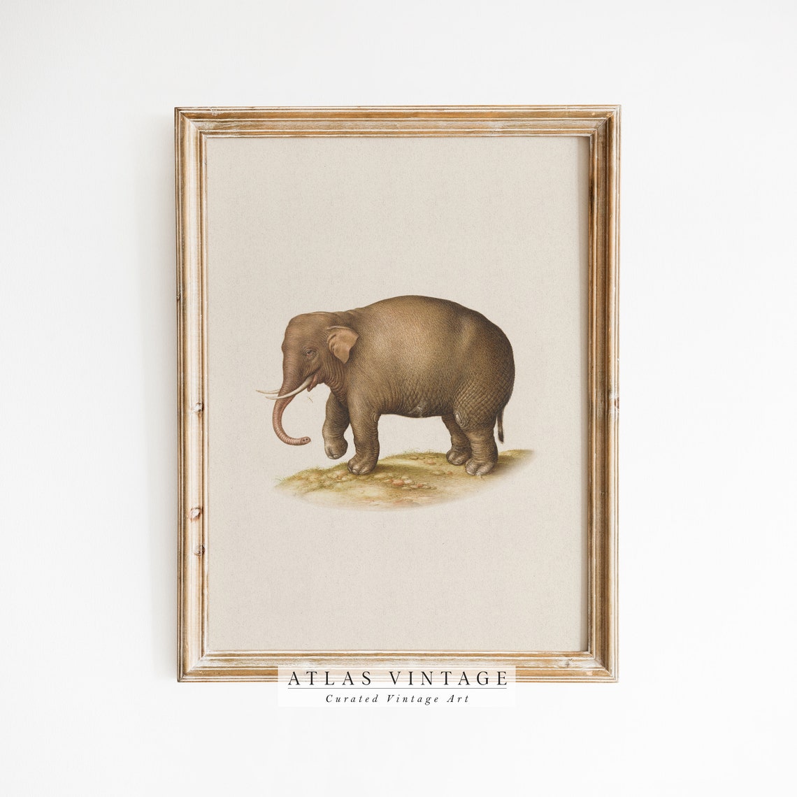 Antique Elephant Illustration Vintage Safari Animal Drawing Poster