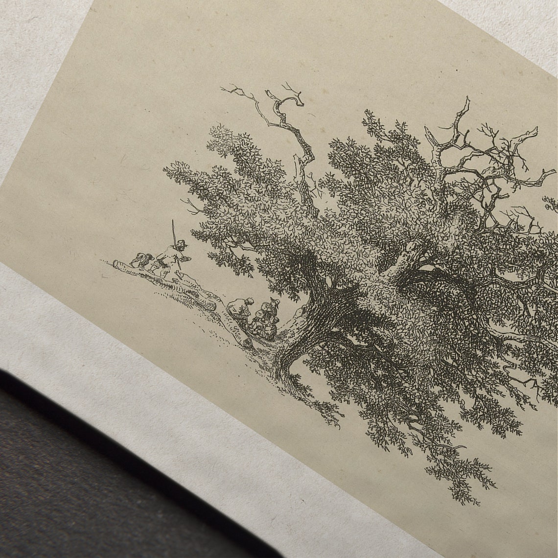 Antique Tree Etching Resting Figures Sepia Sketch Landscape Poster - Image 7