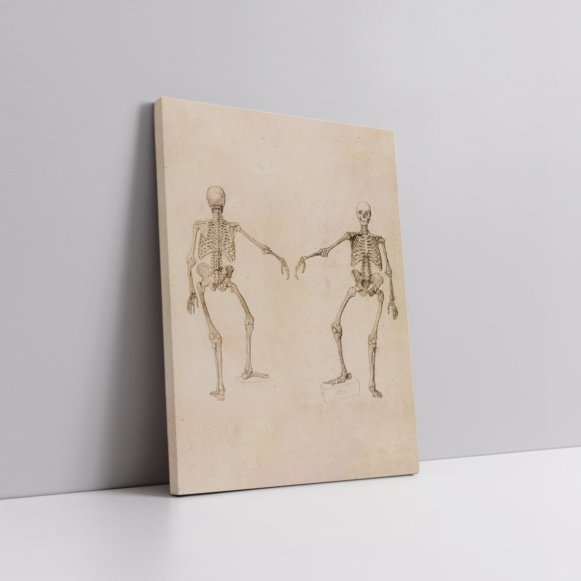 Vintage Anatomical Skeleton Sketches Print Dark Academia Halloween Art - Image 5