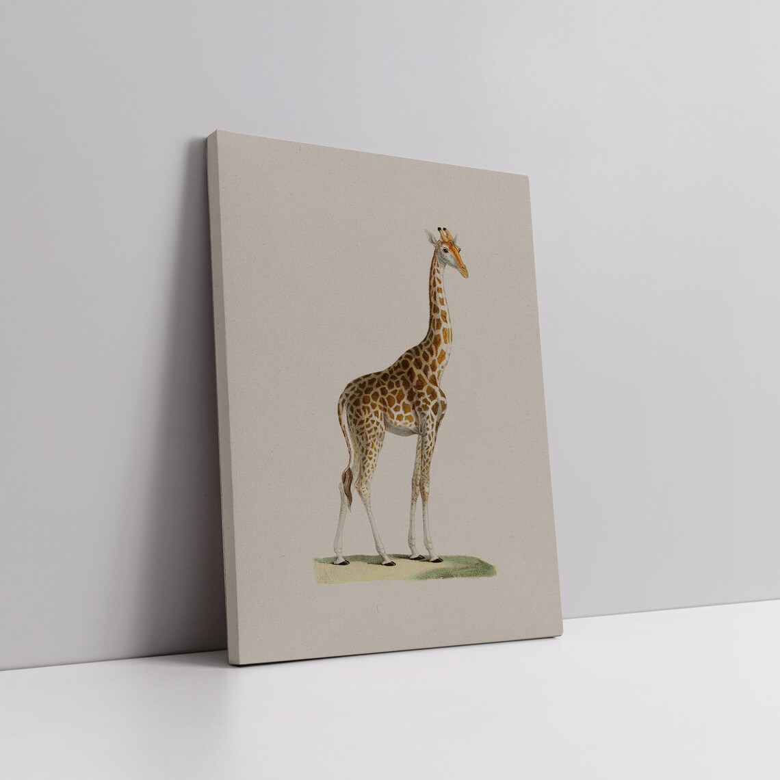 Vintage Giraffe Standing Portrait Natural History Illustration Poster - Image 5