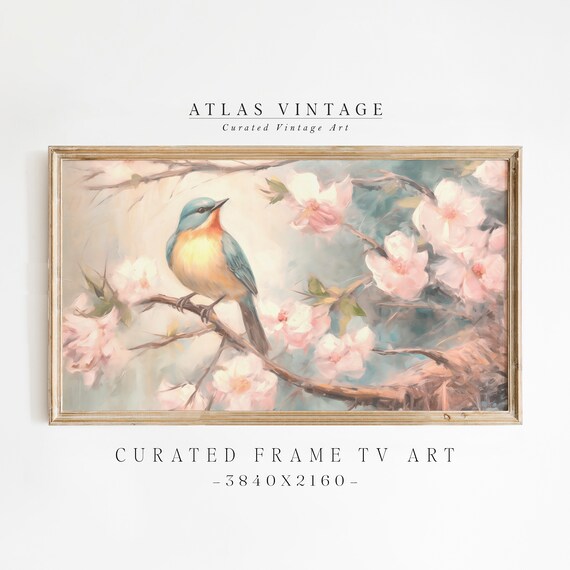 Spring Bluebird on Cherry Blossom Branch Vintage Bird Blossom Art Poster