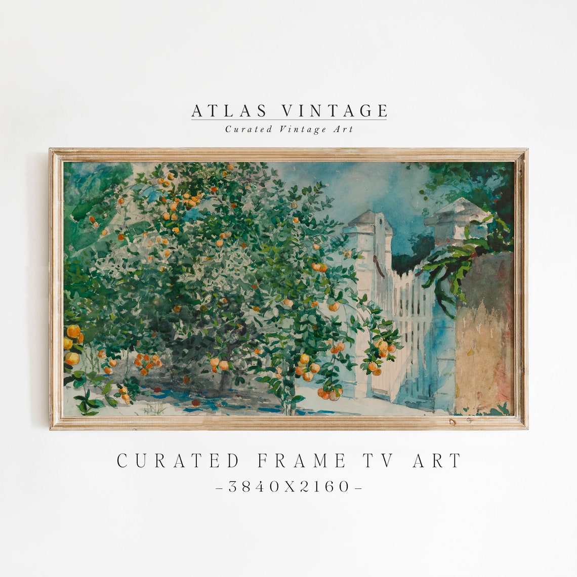 Watercolor Orange Tree Grove Poster White Garden Gate Painting