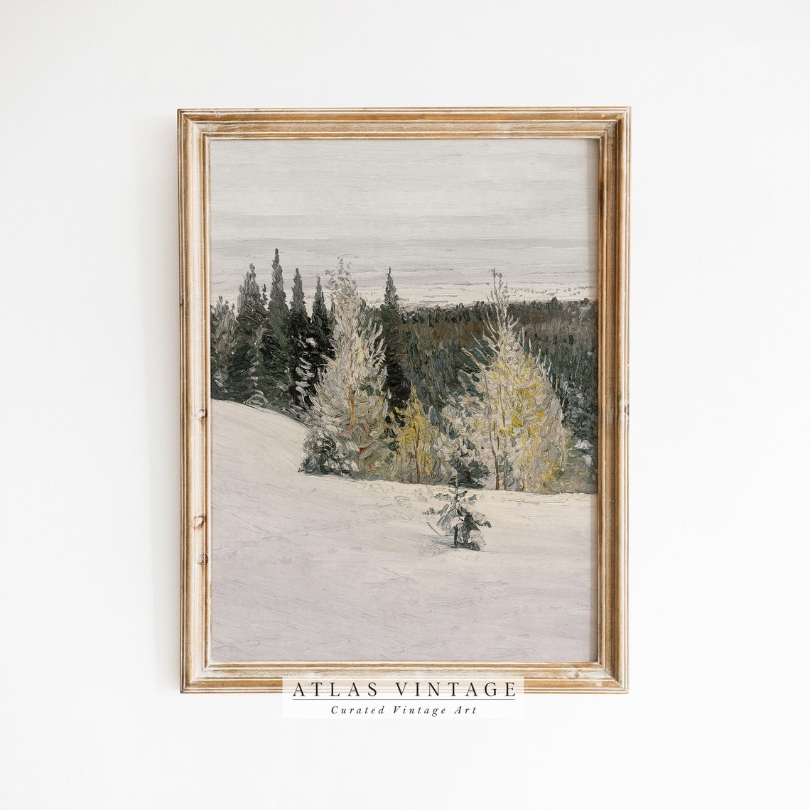 Snowy Evergreen Forest Trees Winter Woodland Landscape Poster