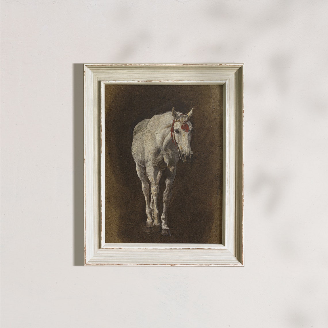 White Horse Portrait Dark Background Equestrian Horse Poster - Image 7