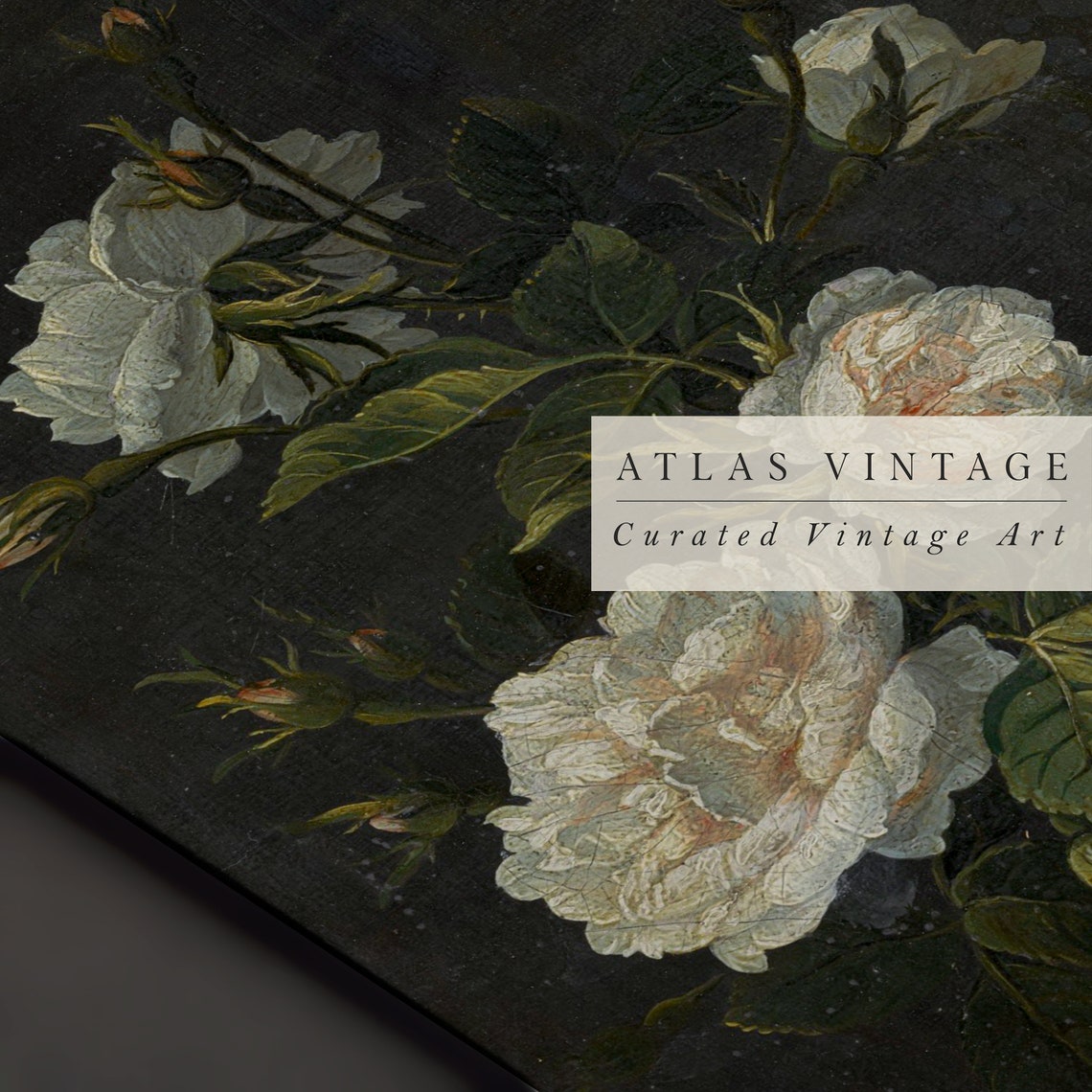 Dark Moody White Rose Stems Dramatic Vintage Botanical Art Poster - Image 5