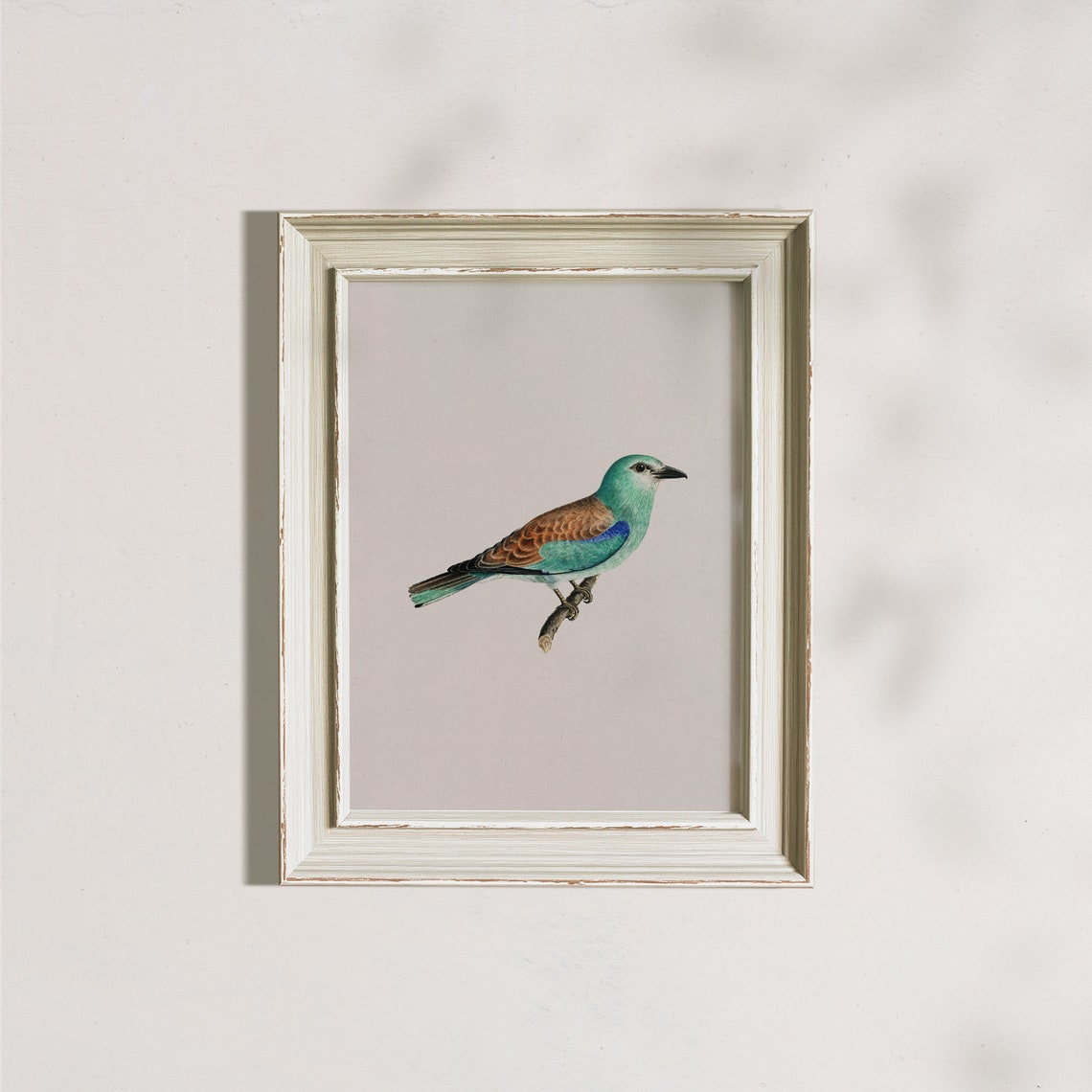 Vintage Perched Teal Bird Antique Songbird Study Painting Poster - Image 8