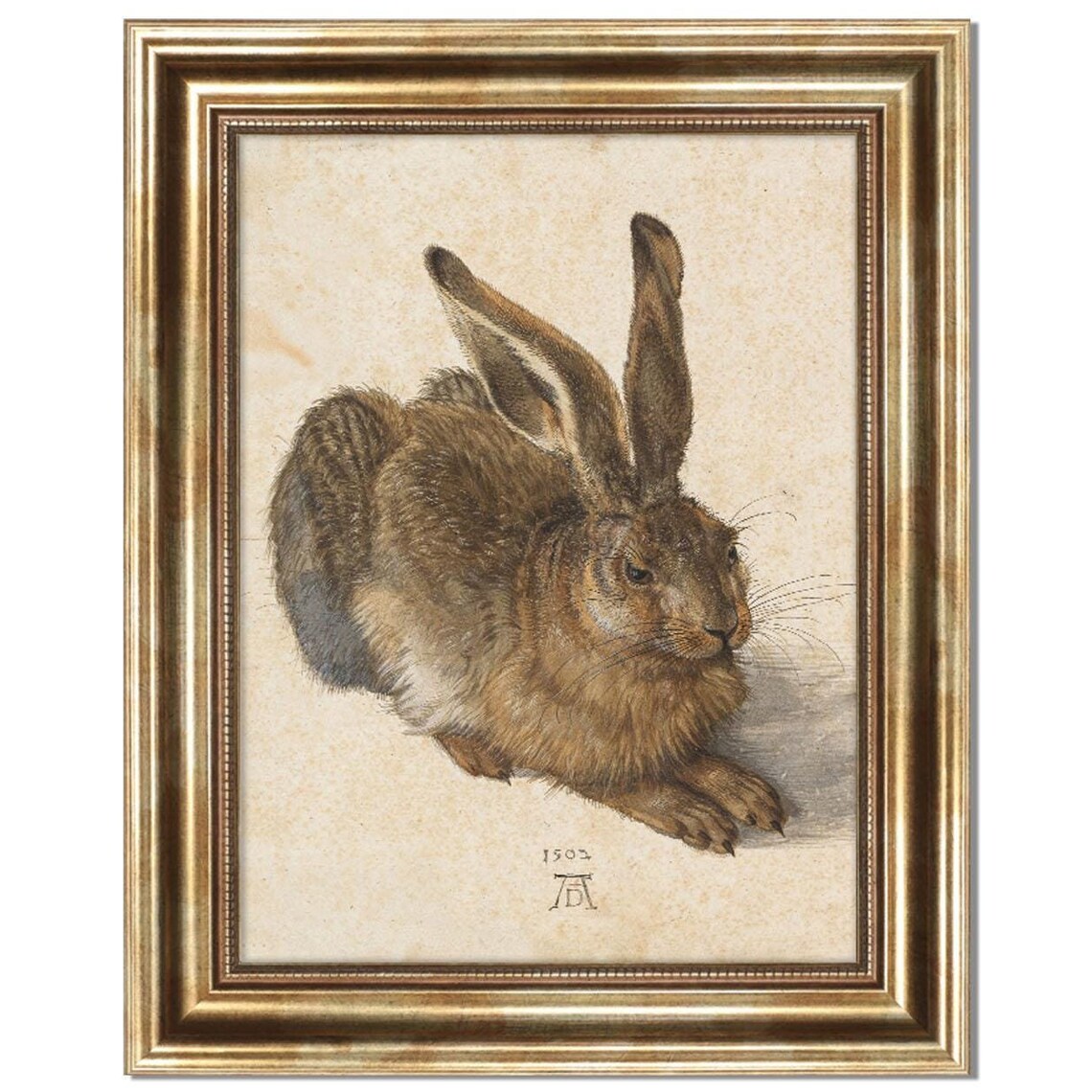 Albrecht Durer The Young Hare 1502 Bunny Watercolor Classic Art Poster