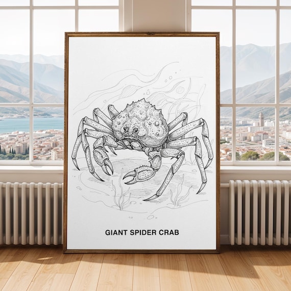 Giant Spider Crab Print Black And White Ink Line Art