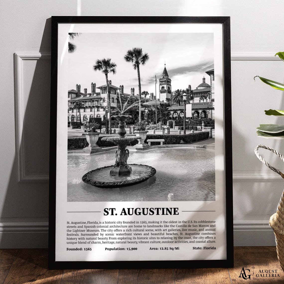 St Augustine Florida Fountain Palms Black White Photo Poster
