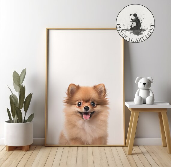 Happy Pomeranian Puppy Smiling Portrait Cute Nursery Animal Poster