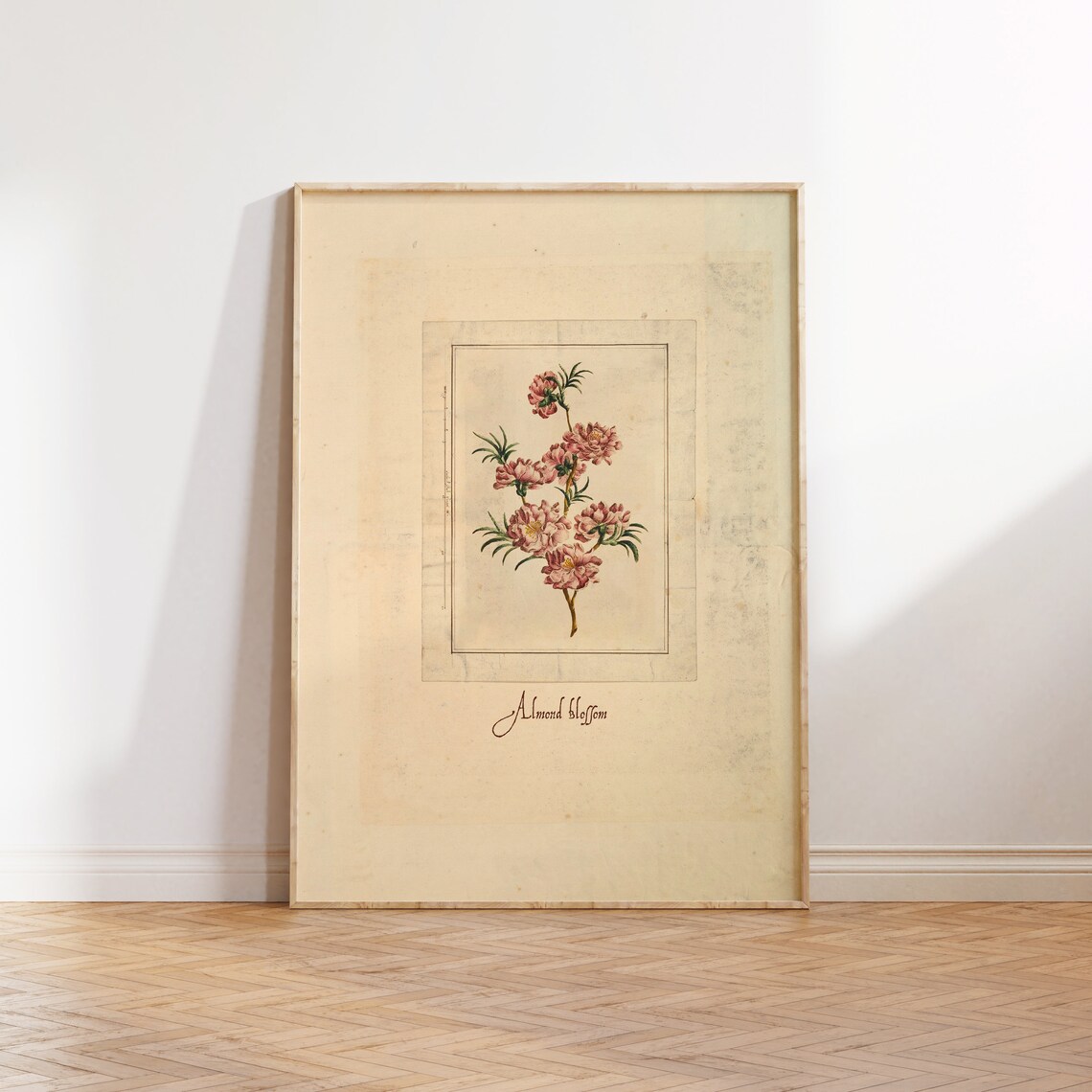 Vintage Almond Blossom Illustration Art Print