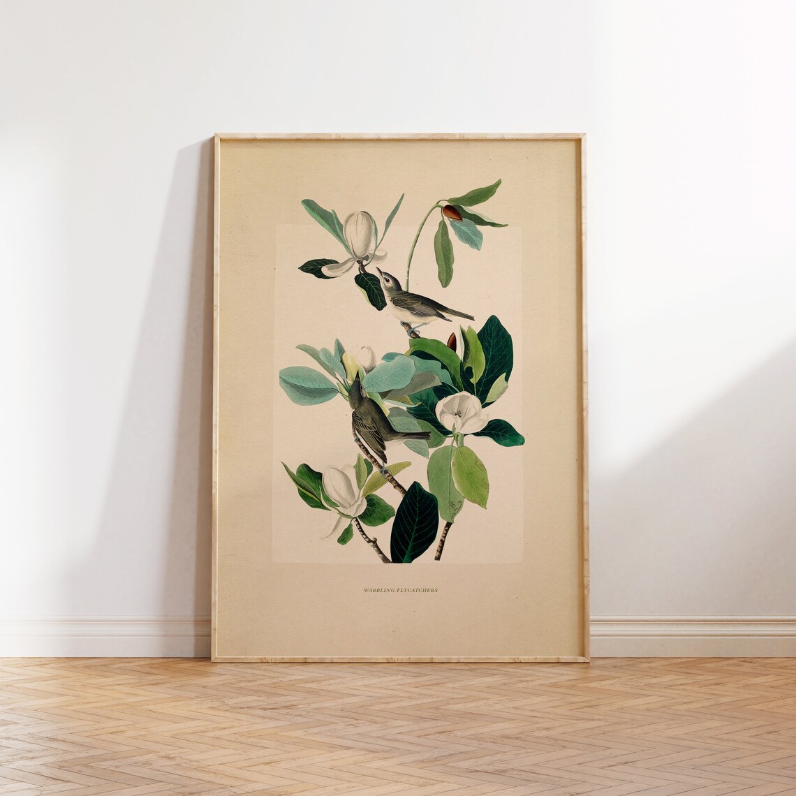 Vintage Warbling Flycatchers Art Print, Ornithology