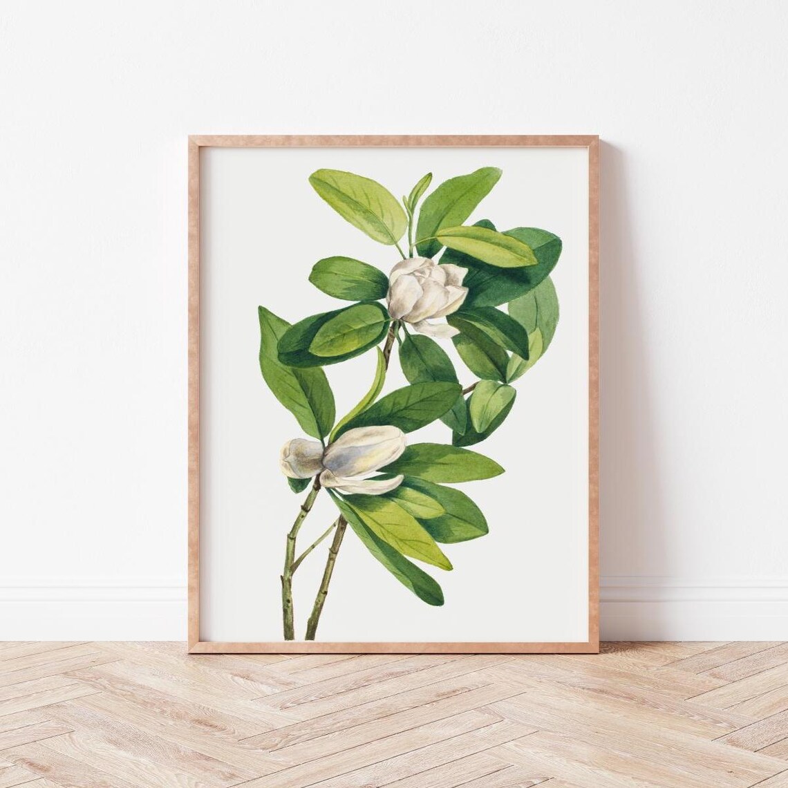 Vintage Botanical Illustration Wall Art Flower Prints Wild Violets Mw0001