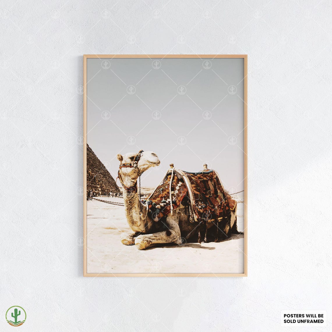 Camel Resting by the Pyramids Desert Travel Photo Art Poster