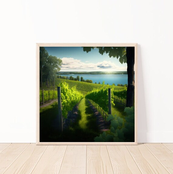 Sunset Vineyard Rows Leading Down to a Blue Lake View Poster