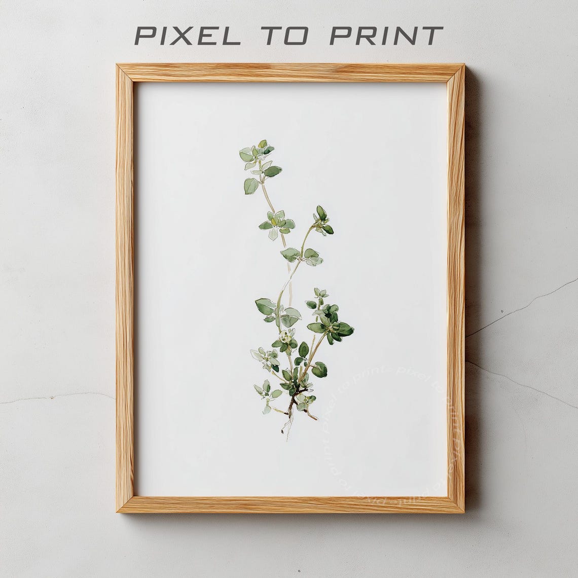 Delicate Watercolor Herb Sprig Minimal Botanical Study Poster