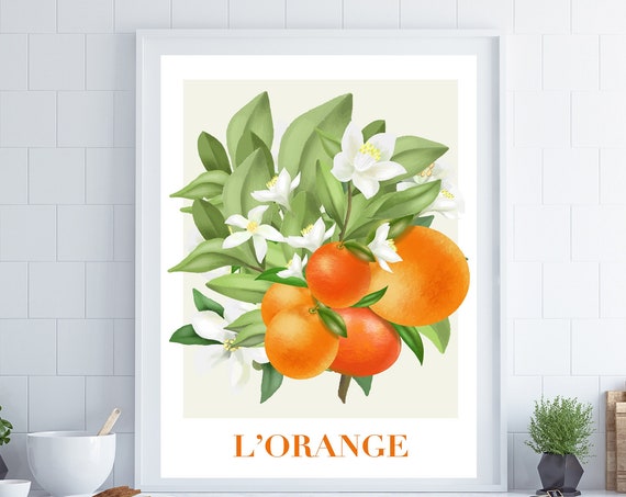 Fruit Wall Art Citrus Wall Art Kitchen Wall Art Kitchen Poster French Wall Art Orange Wall Art Kitchen Decor Housewarming Present