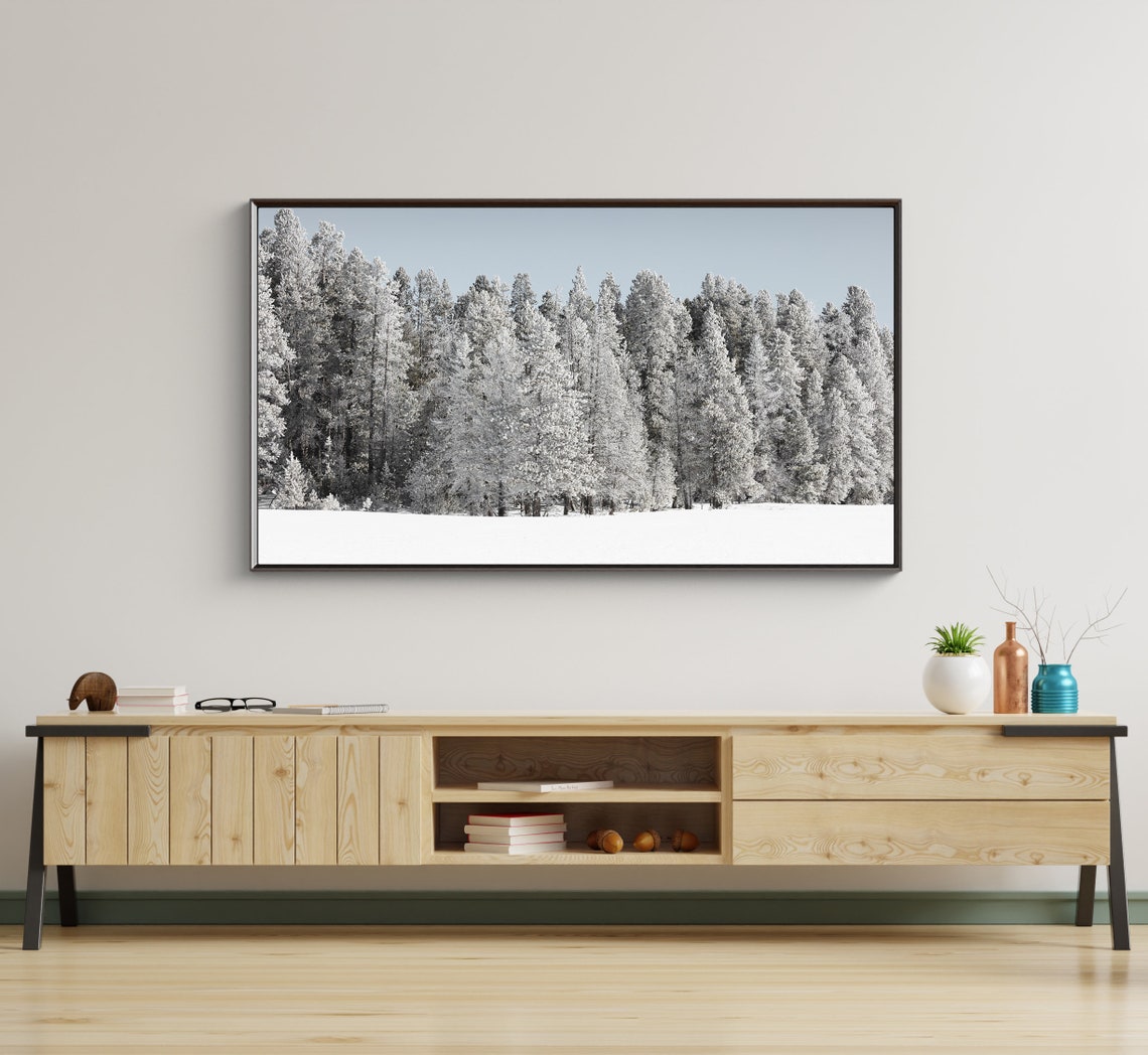 Frost Covered Winter Forest White Trees Snowy Landscape Photo Poster