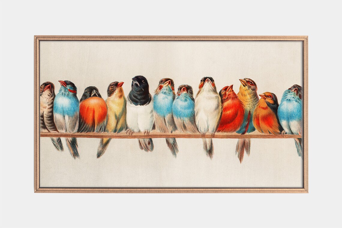 Vintage Bird Illustrations Art Print for Frame TV