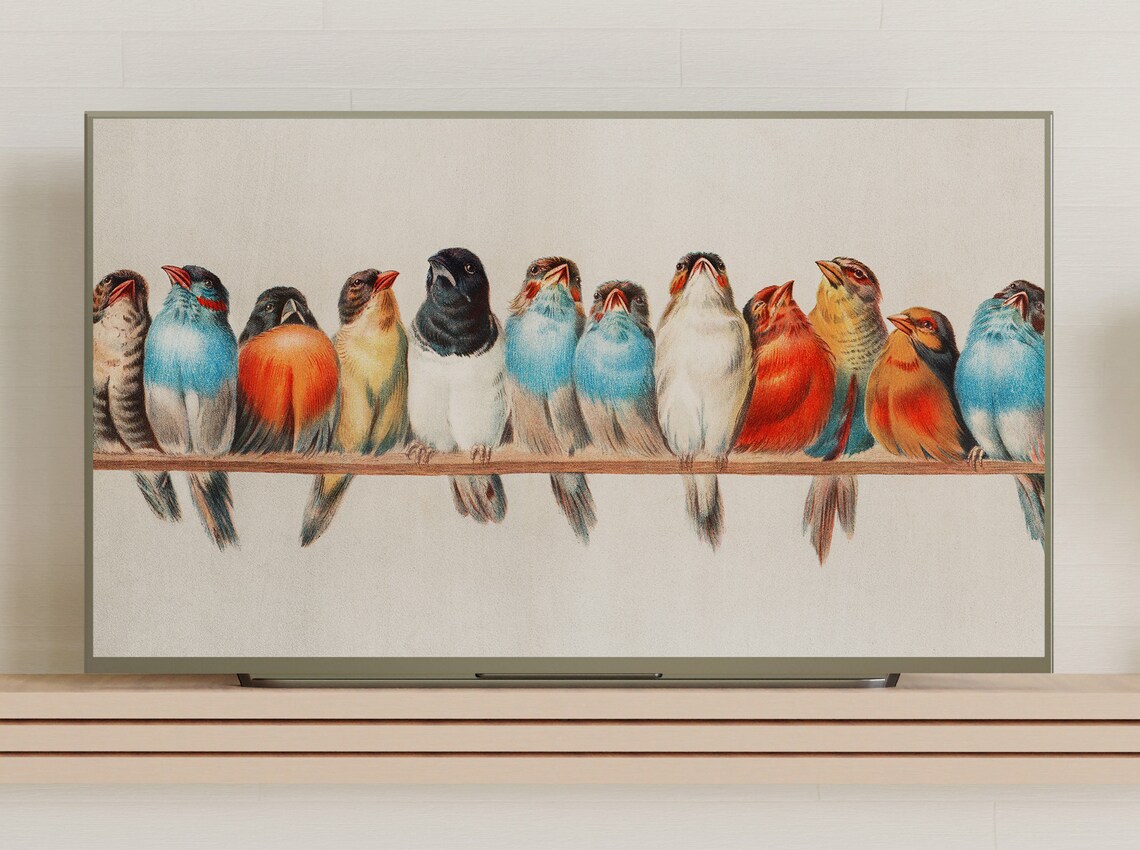 Vintage Bird Illustrations Art Print for Frame TV - Image 3
