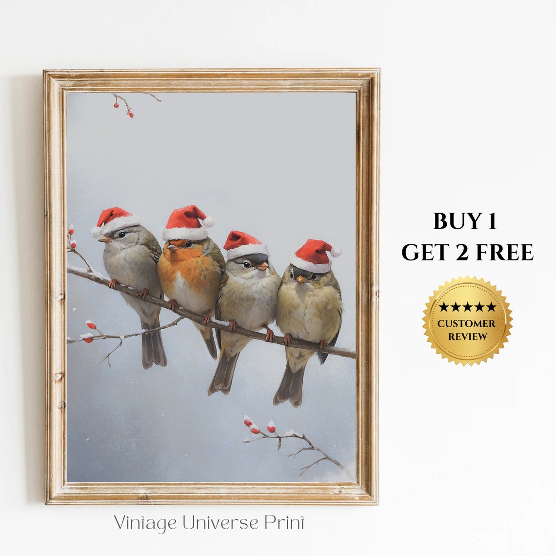Four Birds With Santa Hats On Branch Winter Christmas Poster