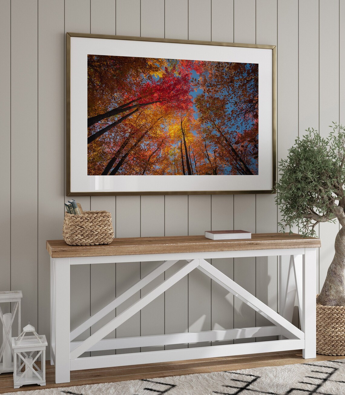 Forest Photography, Fall Foliage, London Ontario Art Print