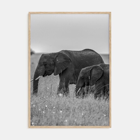Two Elephants Grazing Savanna Black and White Wildlife Art Print