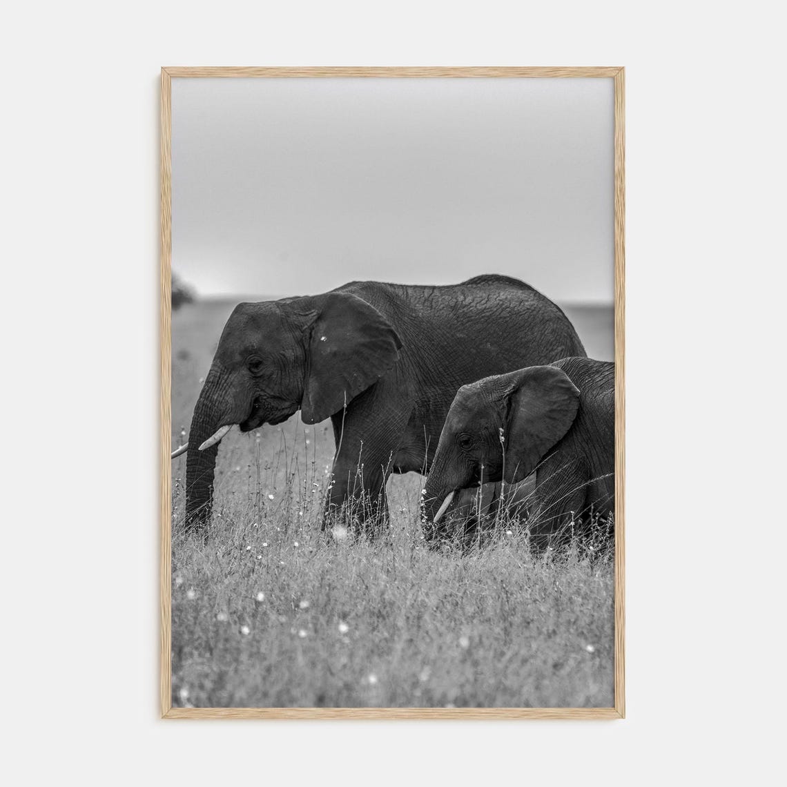 Two Elephants Grazing Savanna Black and White Wildlife Art Print