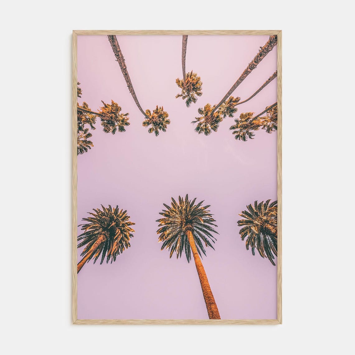 Looking Up at Palm Crowns Under a Soft Pink Sunset Sky Poster