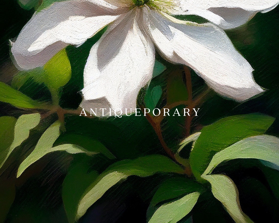 White Clematis Flowers Close Up Oil Painting Botanical Art Poster - Image 2