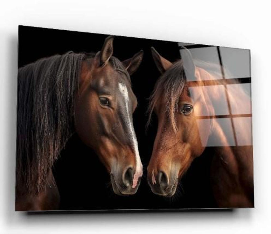 Brown Horses Face To Face Black Background Equine Art Poster - Image 3