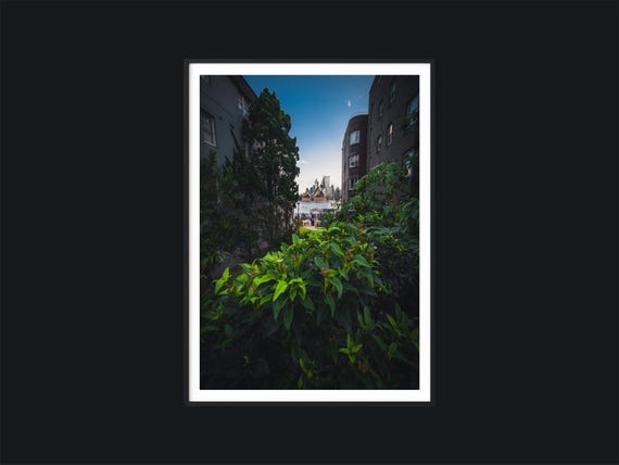Sydney Opera House Hidden View Photography Print Framed By Greenery Wall Art Australia Travel Decor