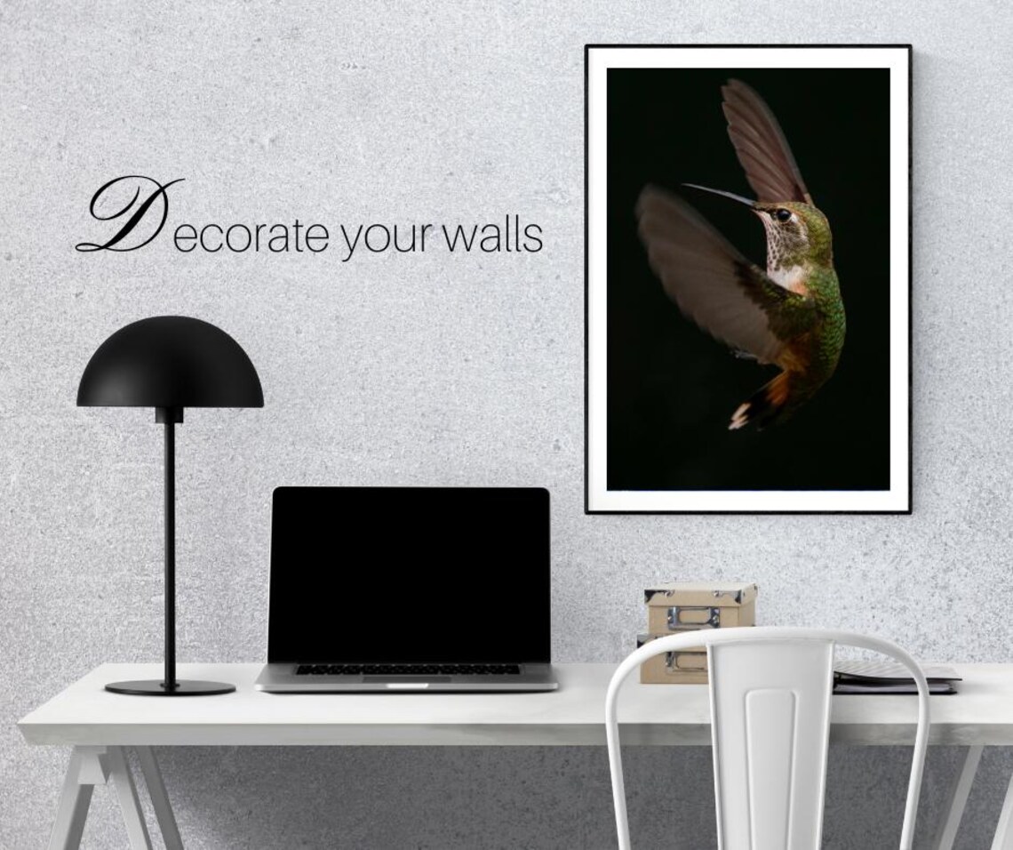 Hummingbird Photography, Nature-Themed Wall Art - Image 5