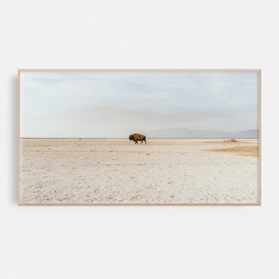 Lone Bison Desert Plains Landscape Neutral Wildlife Wall Decor Poster