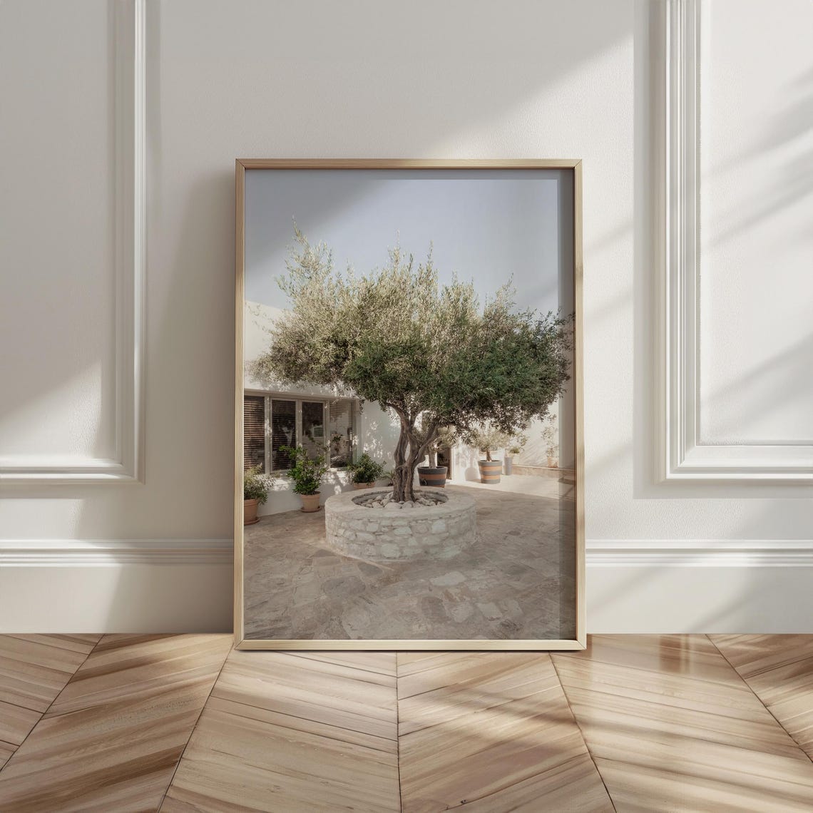Olive Tree Stone Planter Sunlit White Mediterranean Courtyard Poster - Image 5