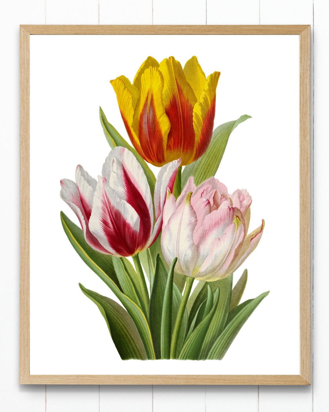 Vintage Tulips Art Print, Botanical Spring Flowers - Image 4