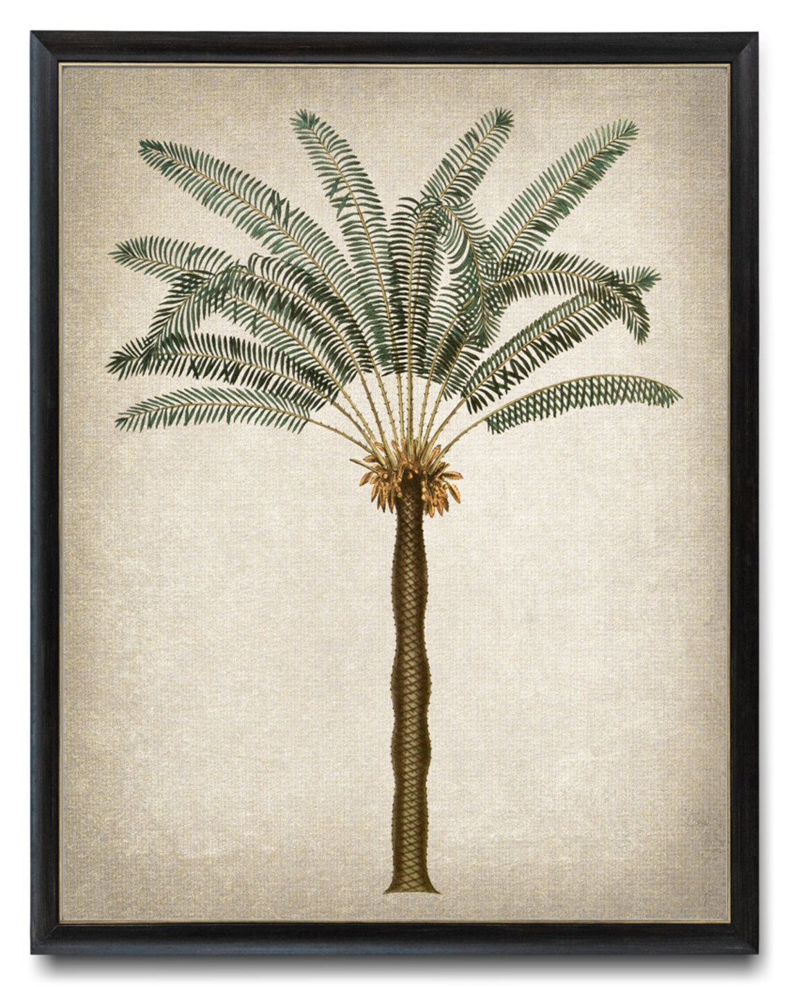 Palm Tree Vintage Illustration, Tropical Art Print