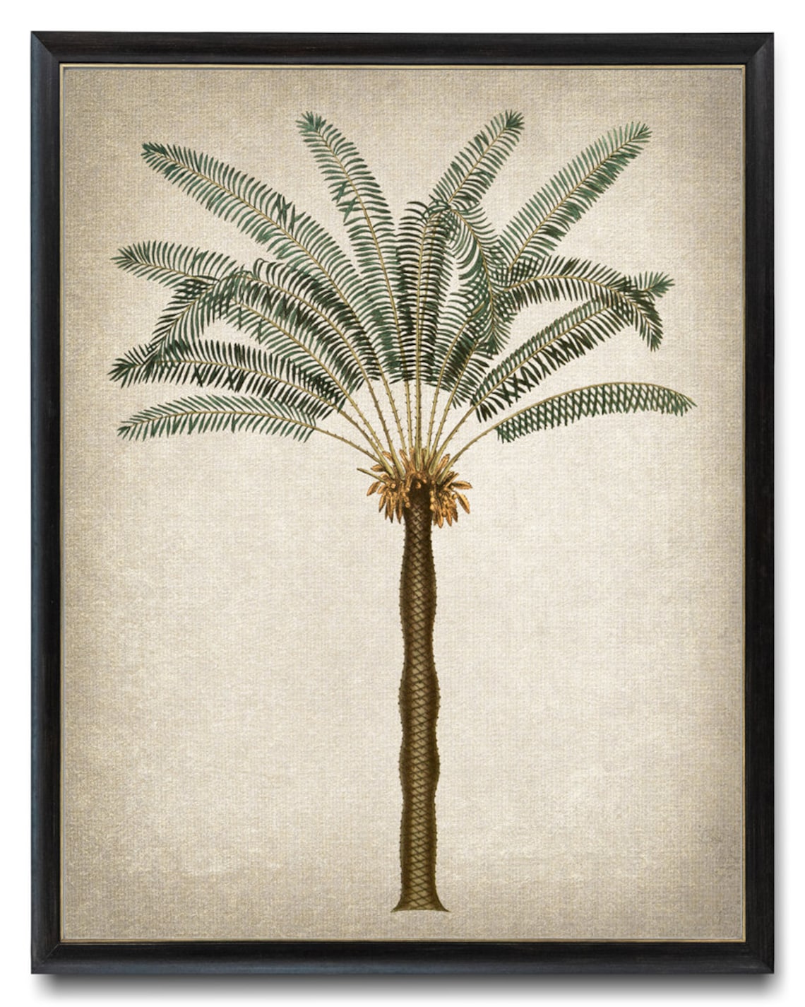 Palm Tree Vintage Illustration, Tropical Botanical Art Print