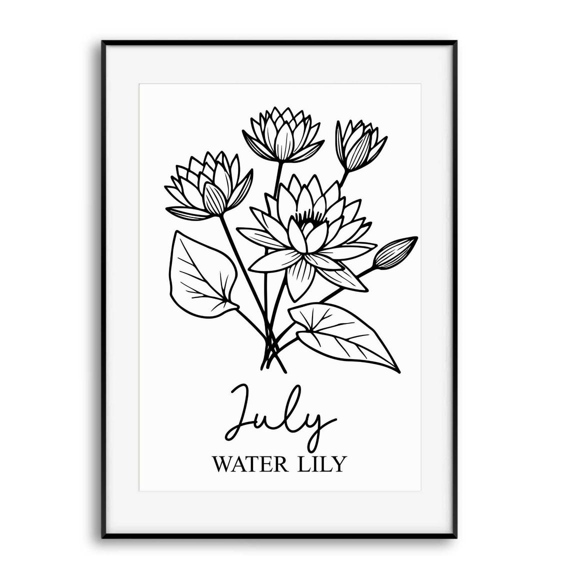 July Birth Month Water Lily Black Line Art Botanical Drawing Poster
