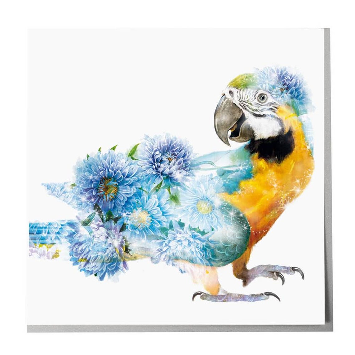 Parrot Bird Art Print