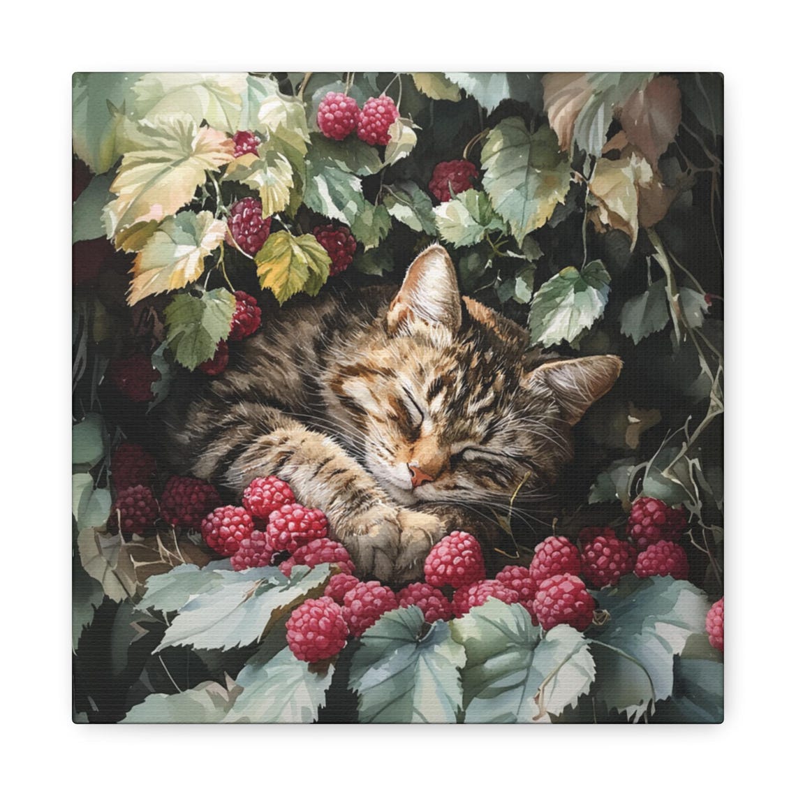 Sleepy Tabby Kitten Napping Among Ripe Raspberry Vines in Bloom Poster - Image 7