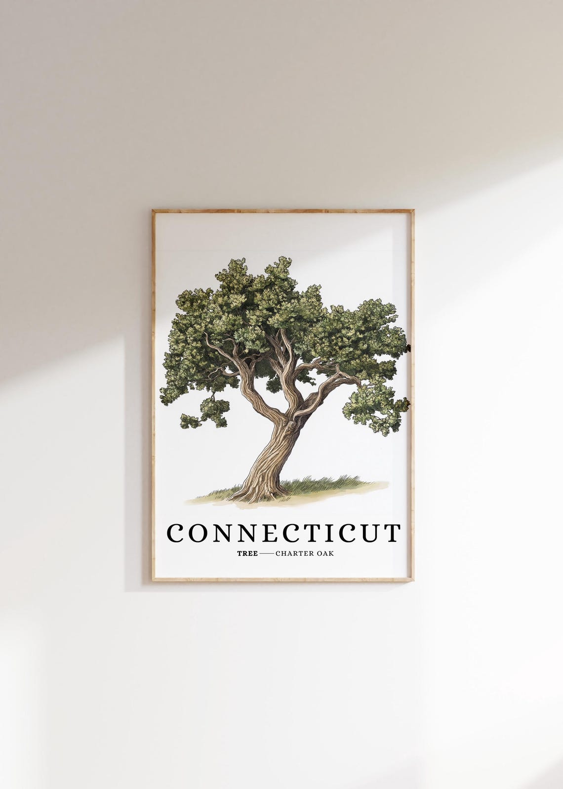 Connecticut Charter Oak Tree Botanical Minimalist State Symbol Poster