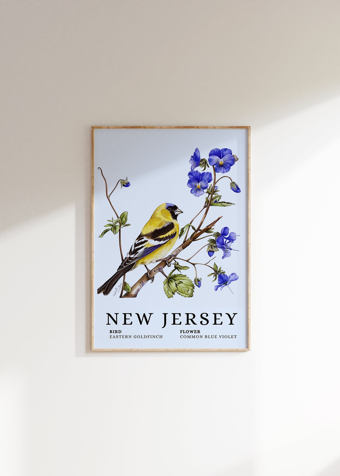 New Jersey Eastern Goldfinch Common Blue Violet Bird Flower Print