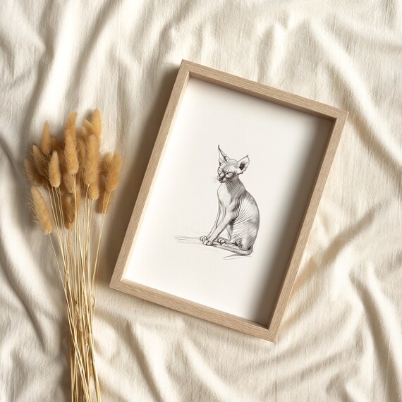 Sphynx Cat Sitting Pencil Sketch Hairless Cat Portrait Minimalist Art Print